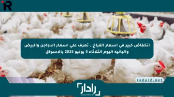 انخفاض كبير في أسعار الفراخ.. تعرف على أسعار الدواجن والبيض والبانية اليوم الثلاثاء 3 يونيو 2025 بالأسواق